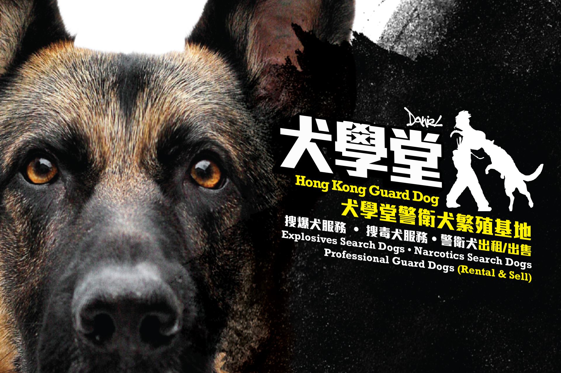 Hong Kong Guard Dog is a professional working dog agency in Hong Kong