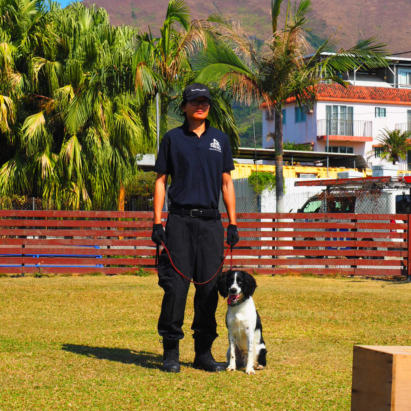 Hong Kong Guard Dog is a professional working dog agency in Hong Kong