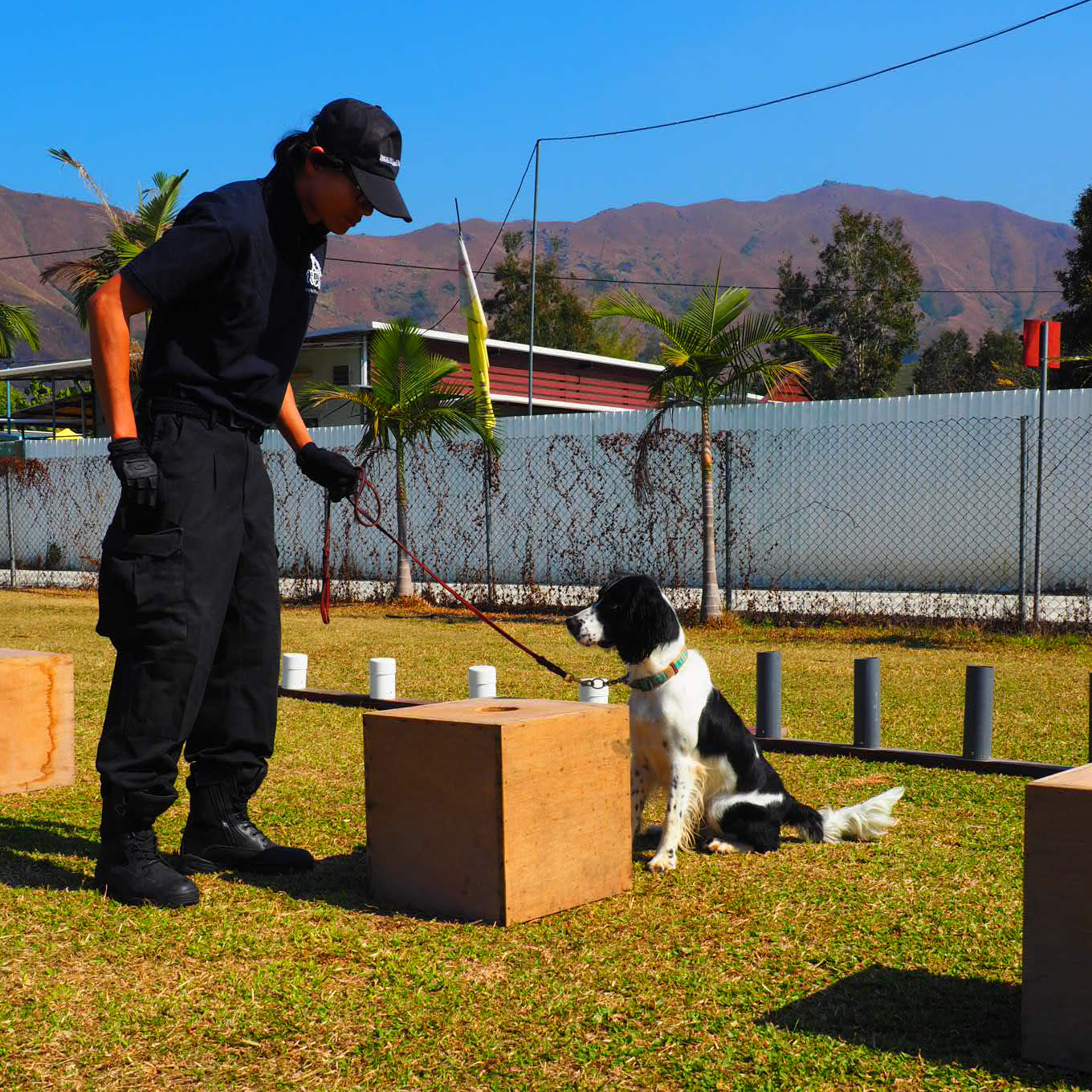 Hong Kong Guard Dog is a professional working dog agency in Hong Kong